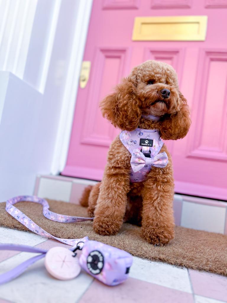 "Lilac Blossom" Adjustable Harness image 5