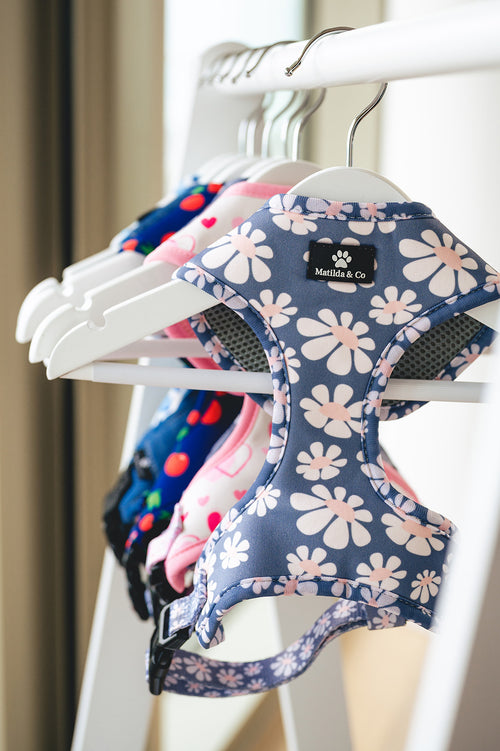 "Fresh as a daisy" Adjustable Harness image 0