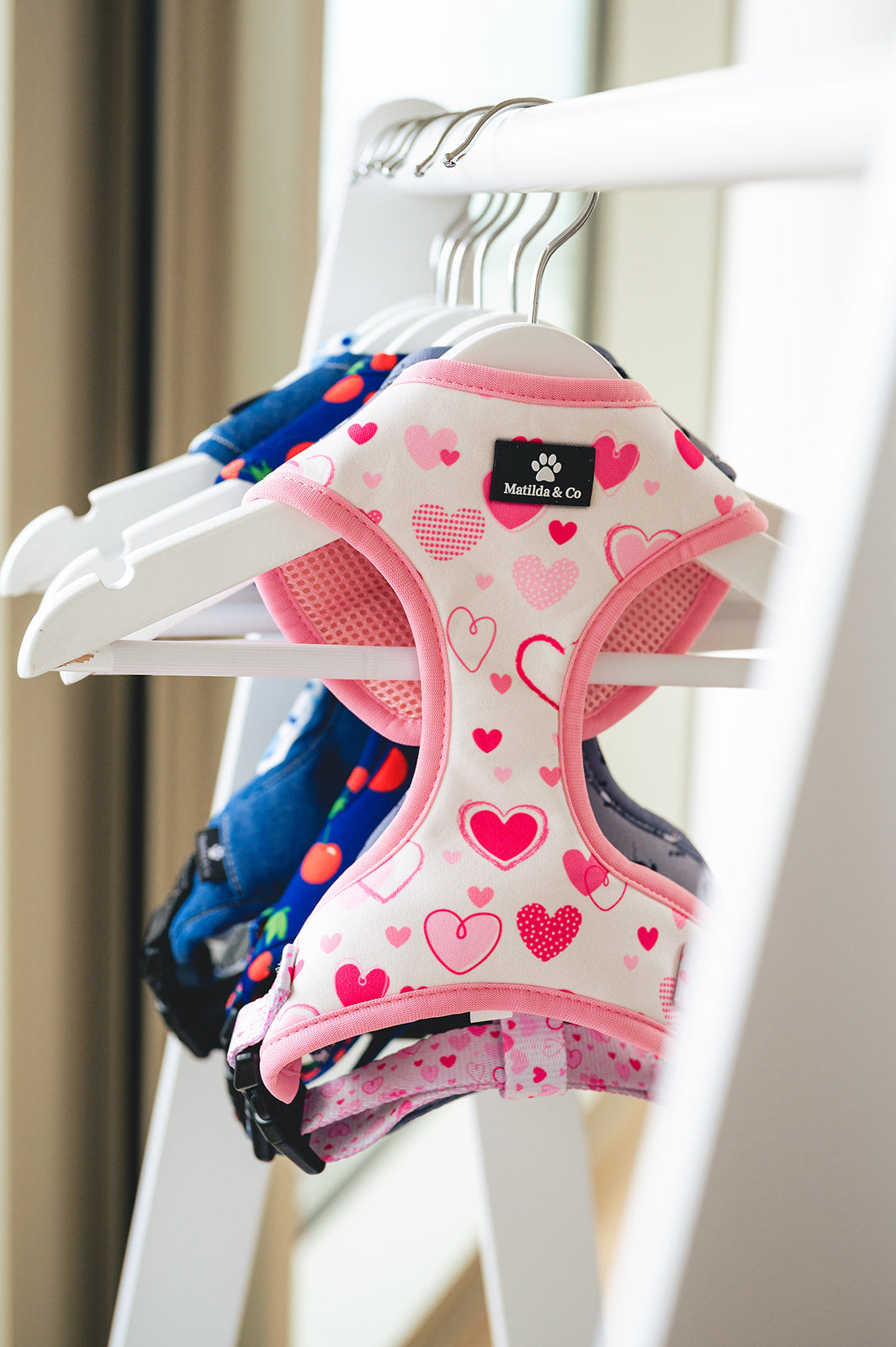 "My heart belongs to you" Adjustable Harness image 0