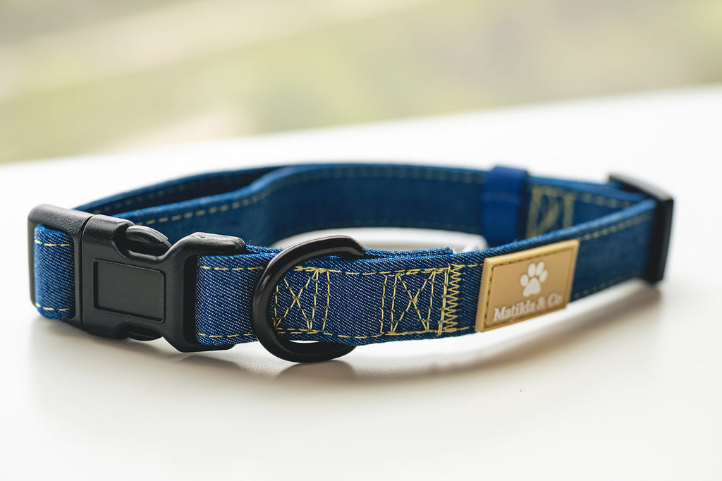 Forever in Blue Jeans' Collar image 1
