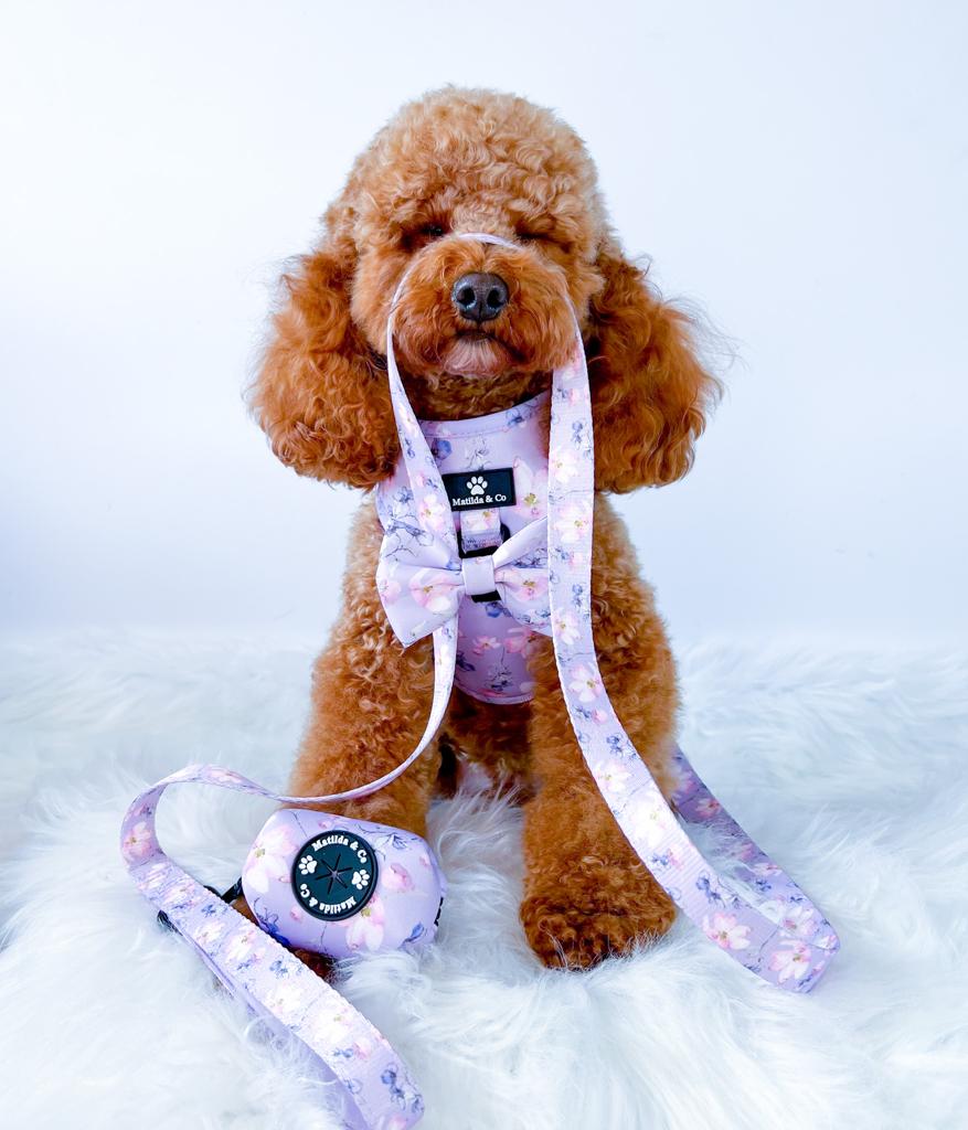 "Lilac Blossom" Dog Lead image 3