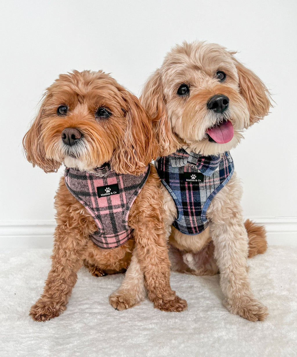 Highland Heather Adjustable Harness image 5