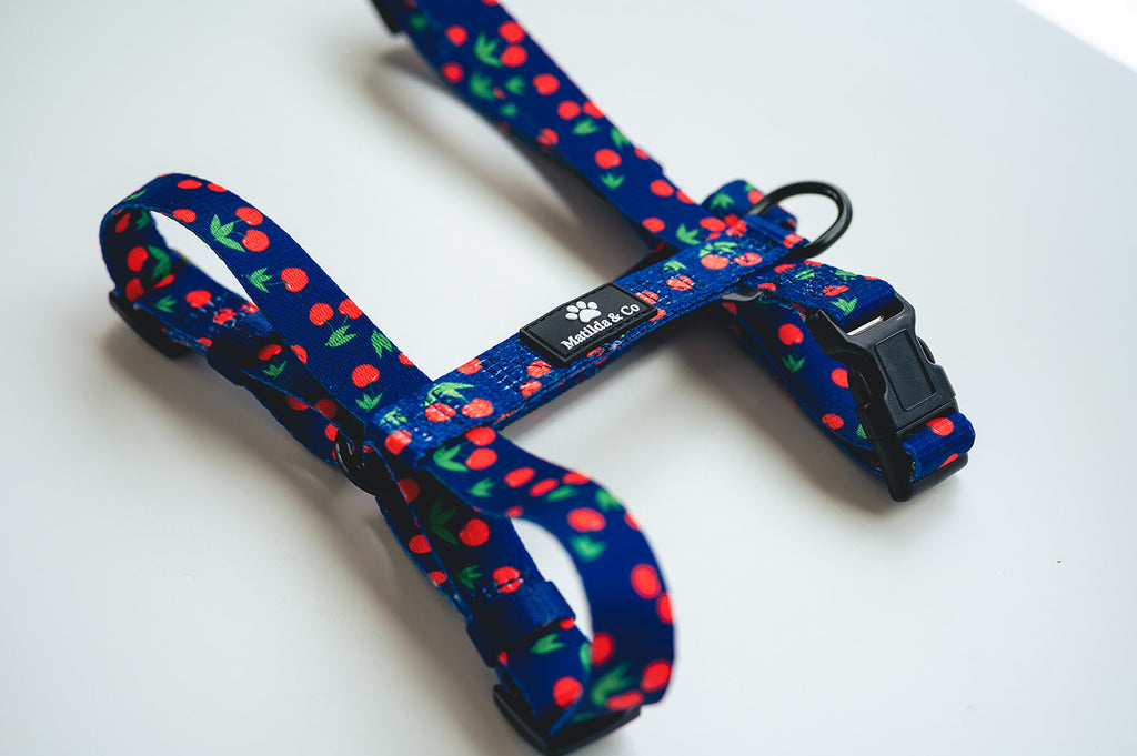 "I love you cherry much" Strap Harness image 0