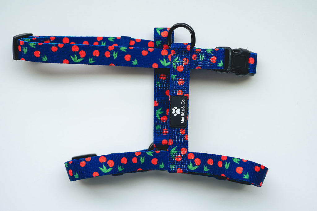 "I love you cherry much" Strap Harness image 2