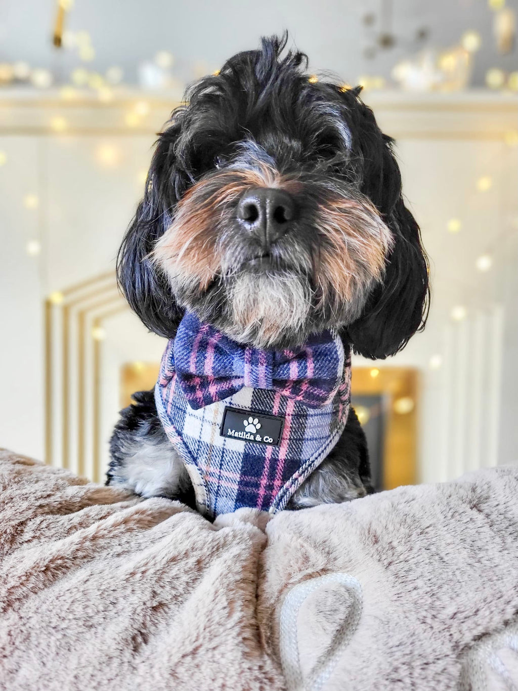 Highland Skye Adjustable Harness image 12