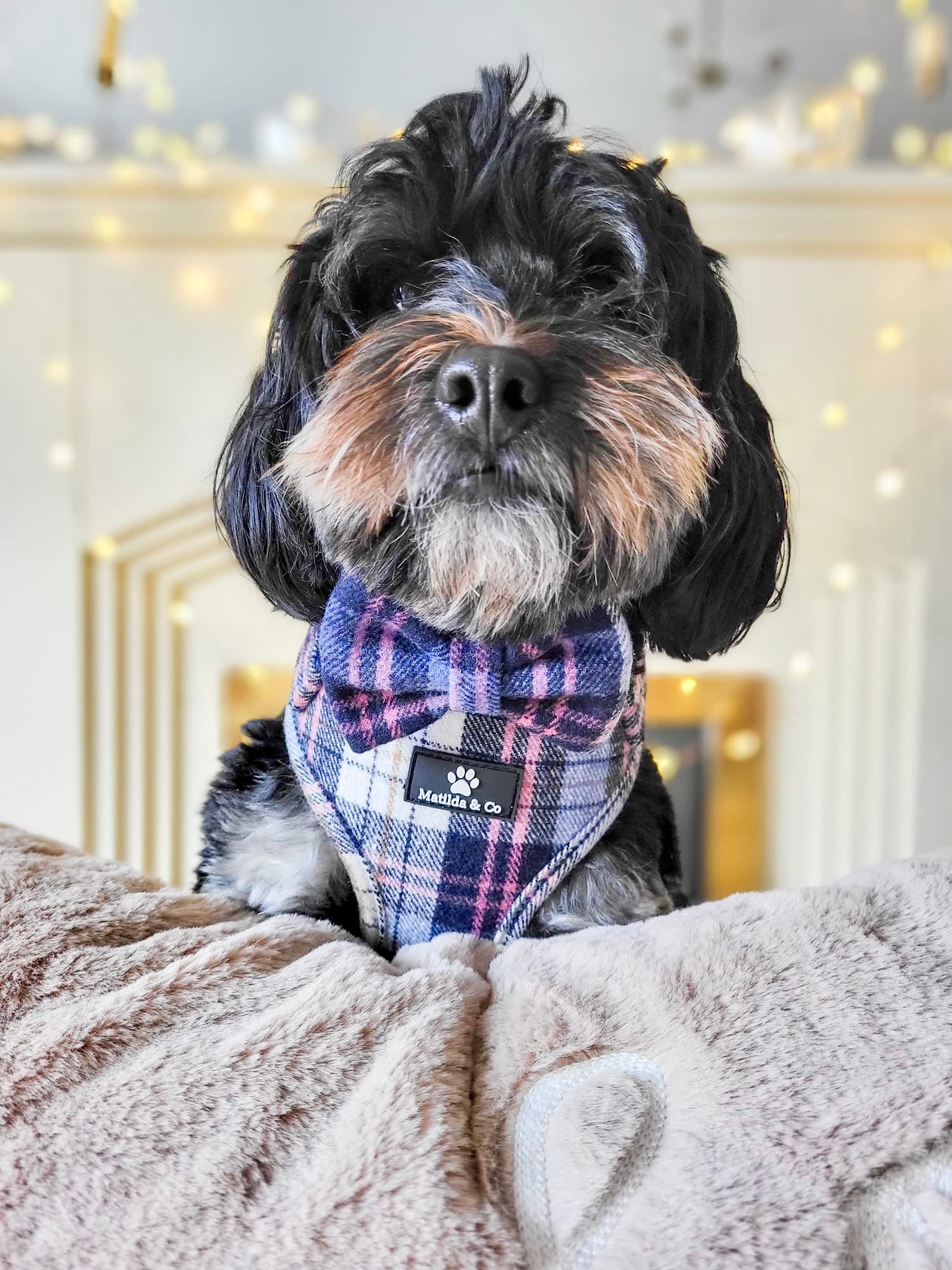 Highland Skye Adjustable Harness image 12