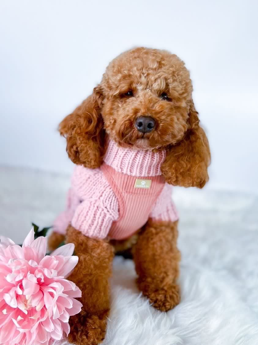 "La Vie En Rose" Adjustable Harness image 3