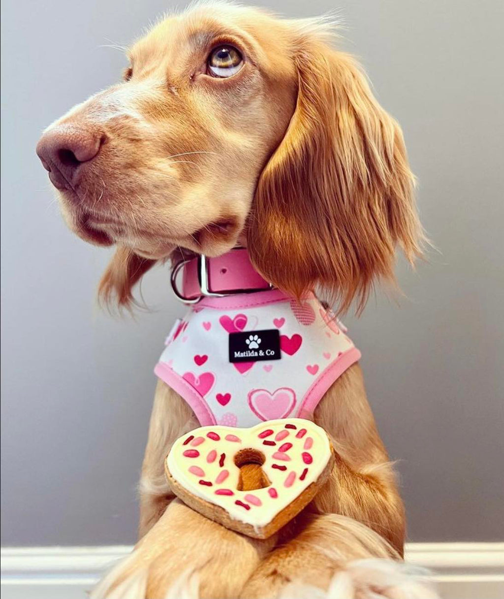 "My heart belongs to you" Adjustable Harness image 3