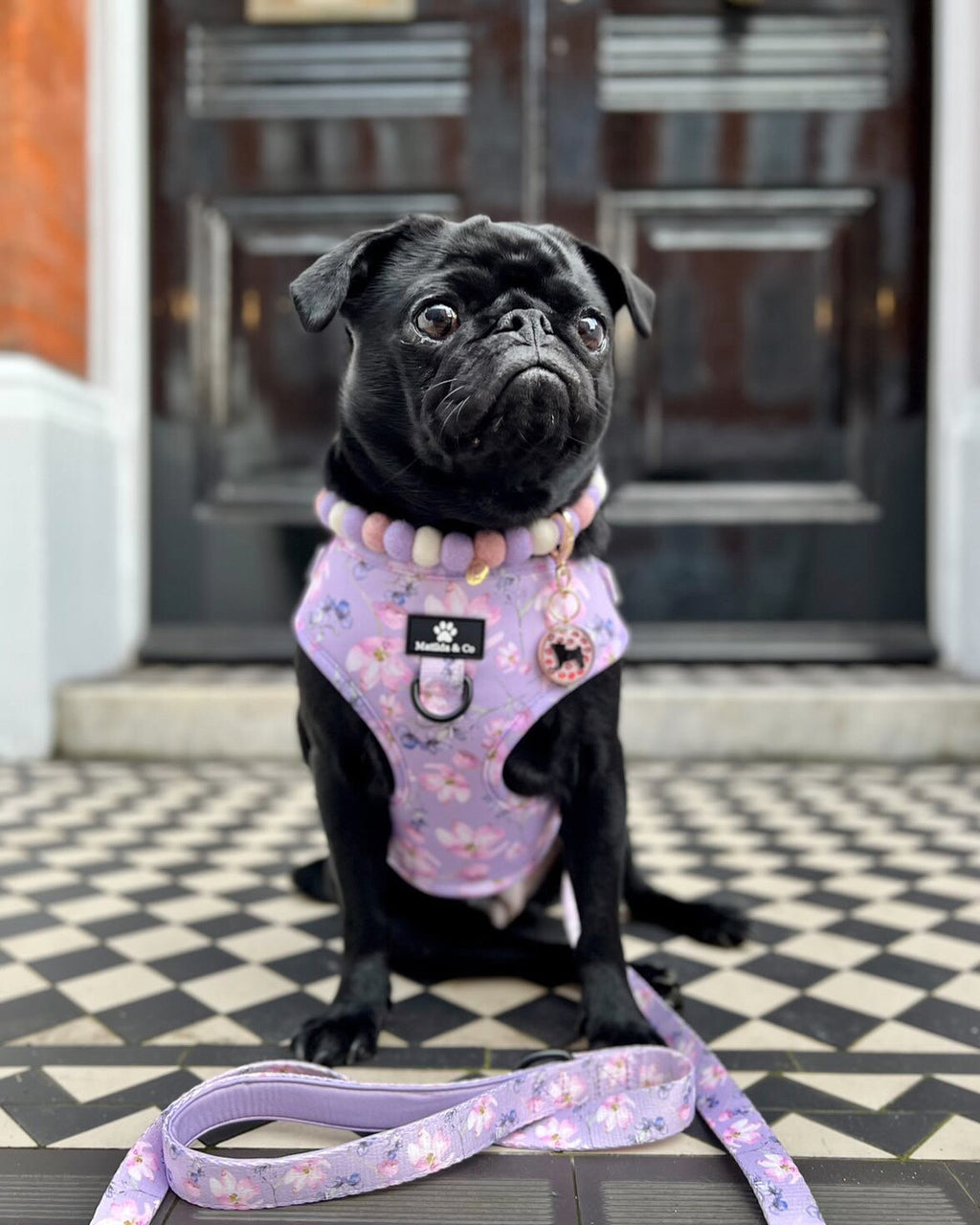 "Lilac Blossom" Adjustable Harness image 4