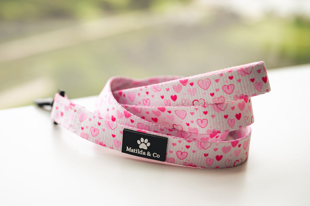 "My Heart belongs to you" Dog Lead image 0