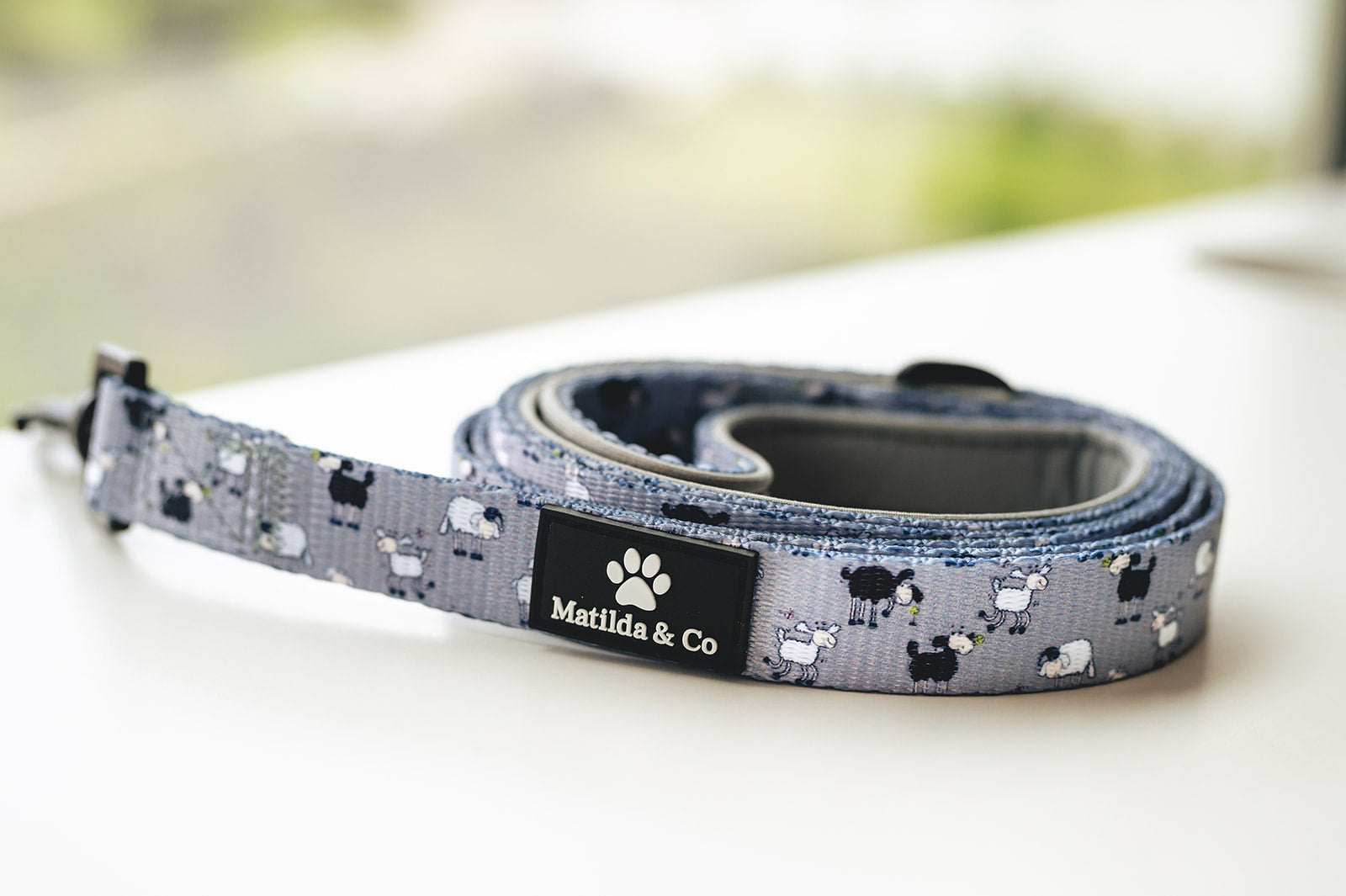 "Don't follow the sheep" Dog Lead image 0