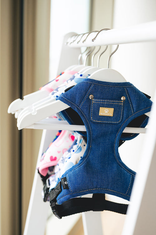 "Forever in Blue Jeans" Adjustable Harness image 0