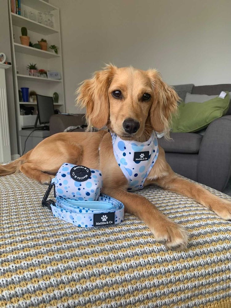 "Dotty over you" Dog Lead image 2