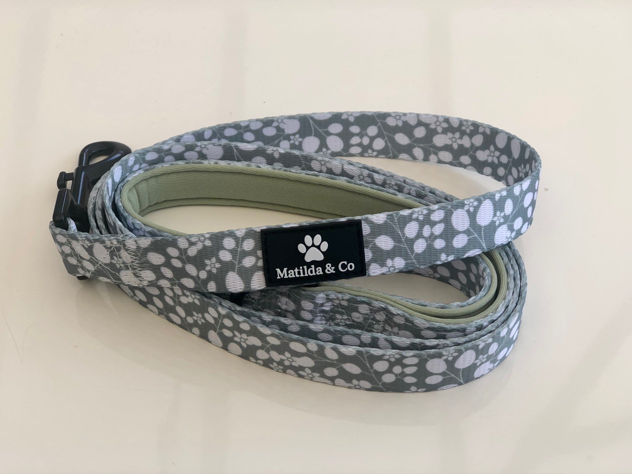 "Say it with Sage" Dog Lead image 0