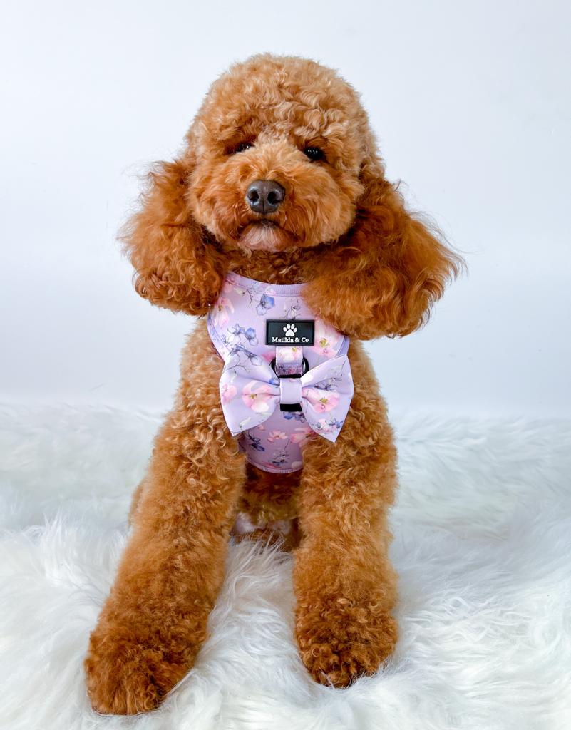 "Lilac Blossom" Bowtie image 2