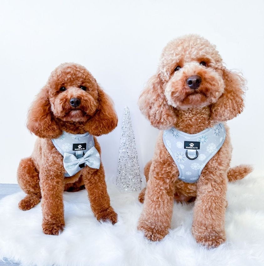 "Snow Pawtrol" Adjustable Harness image 2