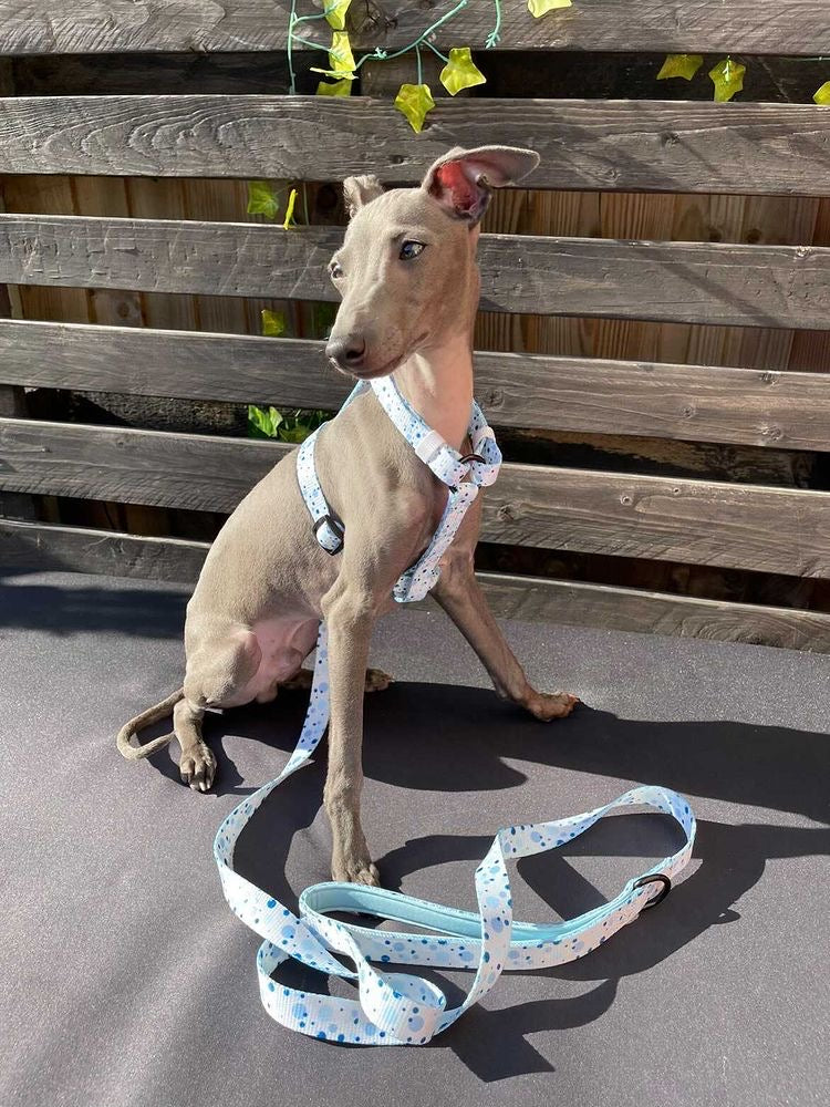 "Dotty over you" Strap Harness image 5
