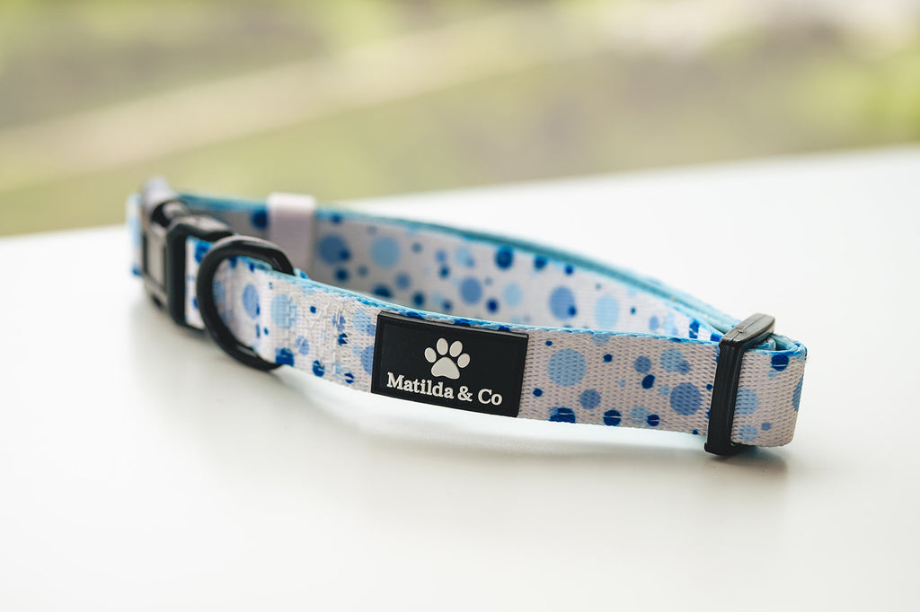 Dotty over you' Collar image 0