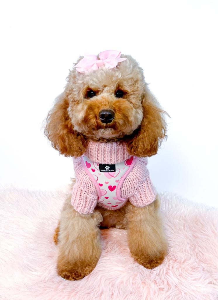 "My heart belongs to you" Adjustable Harness image 4
