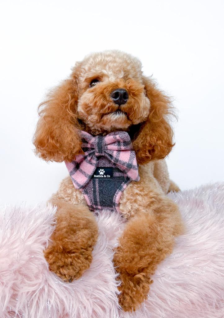 Highland Heather Adjustable Harness image 7
