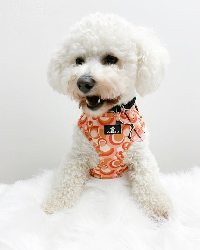 "Rogue Retro" Adjustable Harness image 4