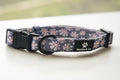 Fresh as a daisy' Collar image 0