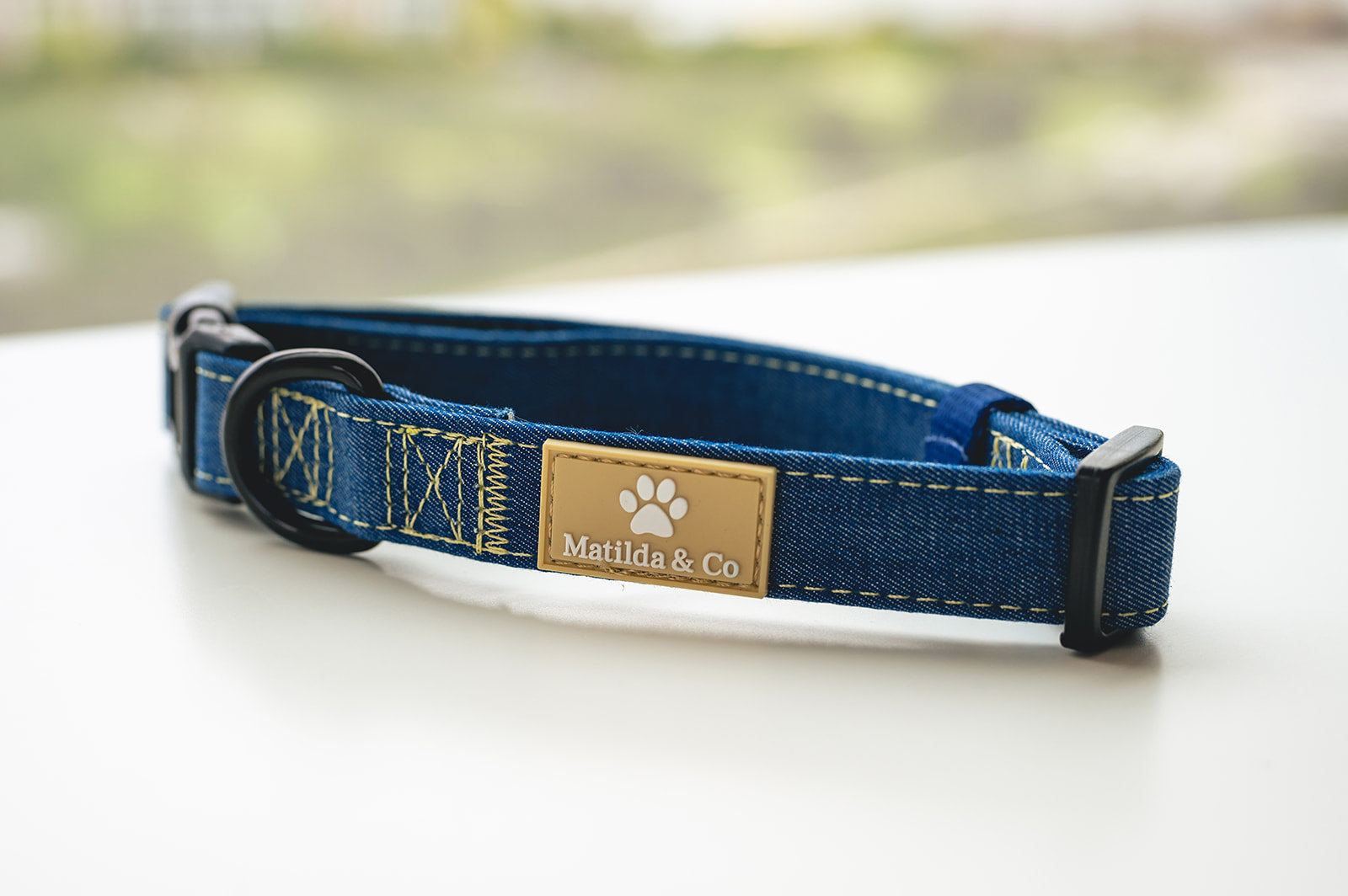 Forever in Blue Jeans' Collar image 0