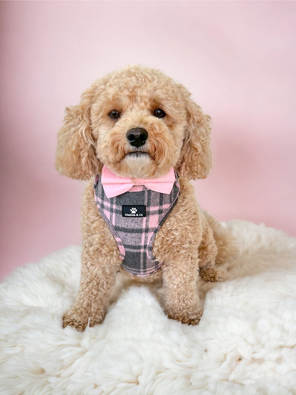 Highland Heather Adjustable Harness image 6