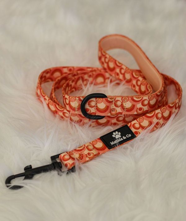 "Rogue Retro" Dog Lead image 0