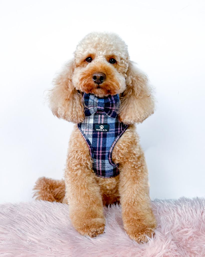 Highland Skye Adjustable Harness image 4