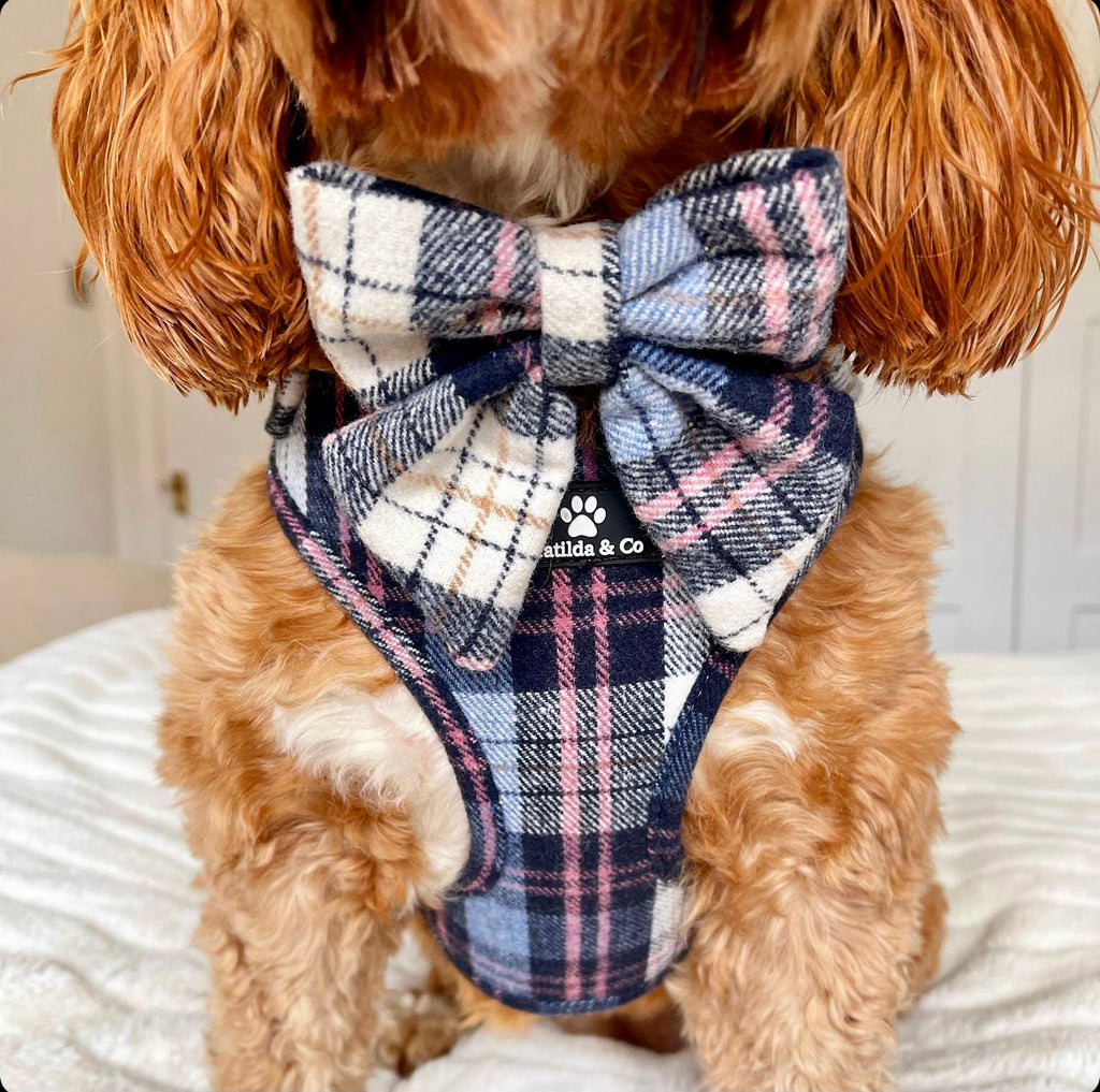 Highland Skye sailor bowtie image 2