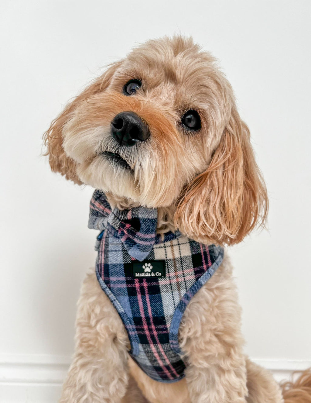 Highland Skye Adjustable Harness image 9