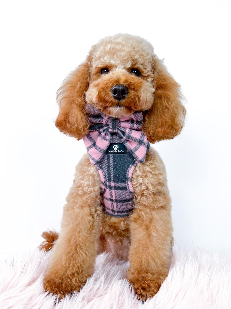 Highland Heather Adjustable Harness image 3