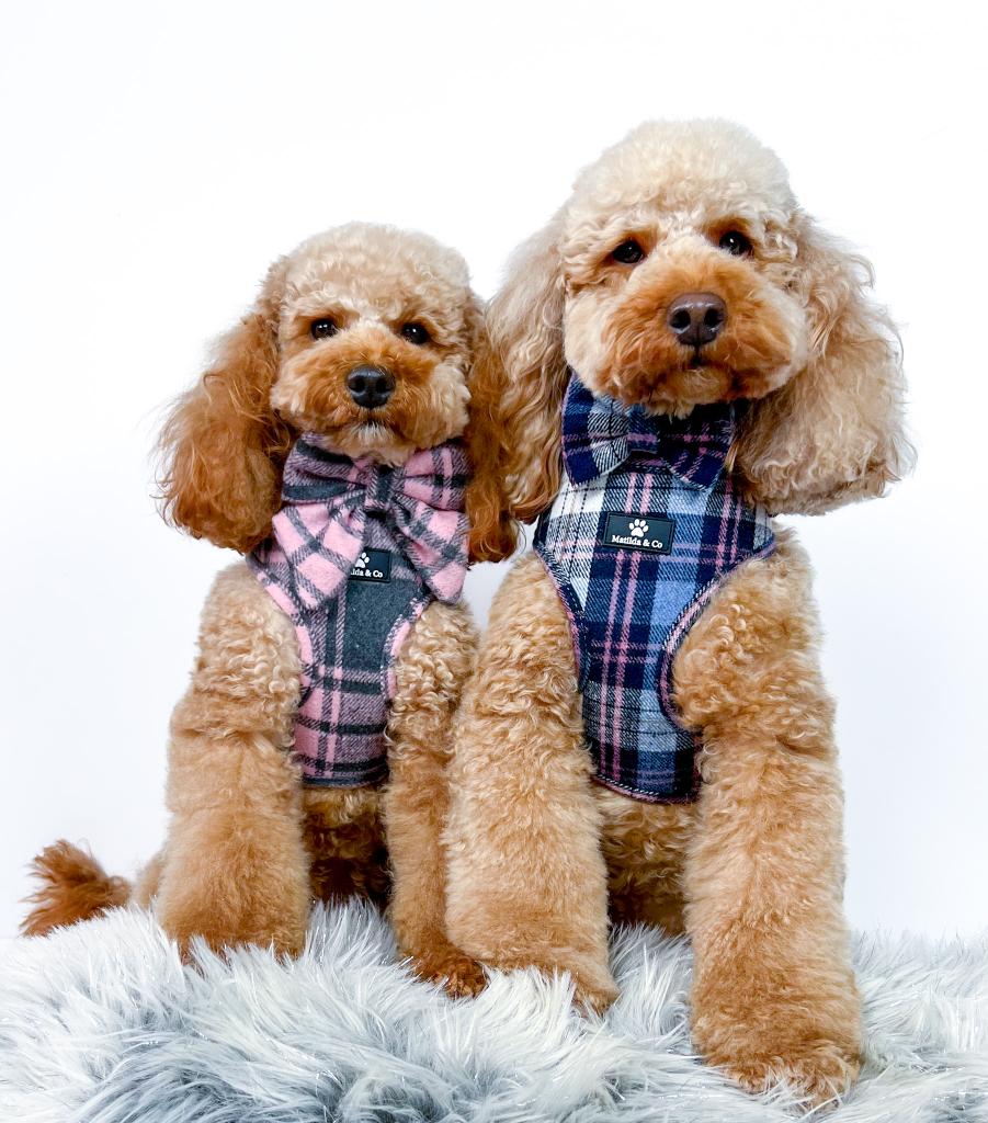 Highland Heather Adjustable Harness image 4