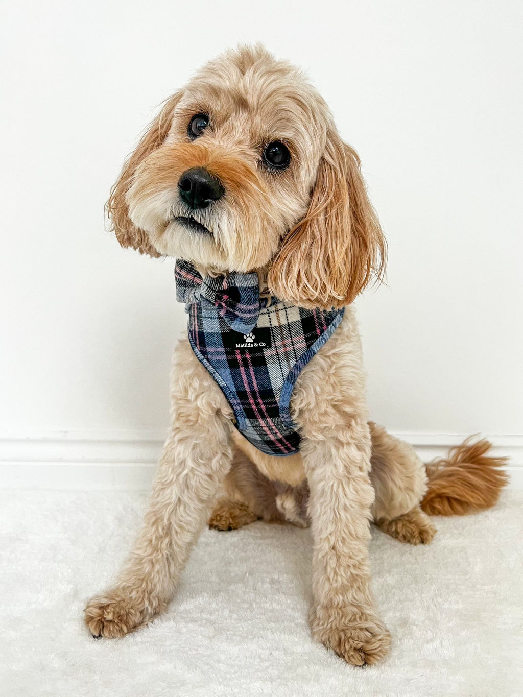 Highland Skye Adjustable Harness image 8