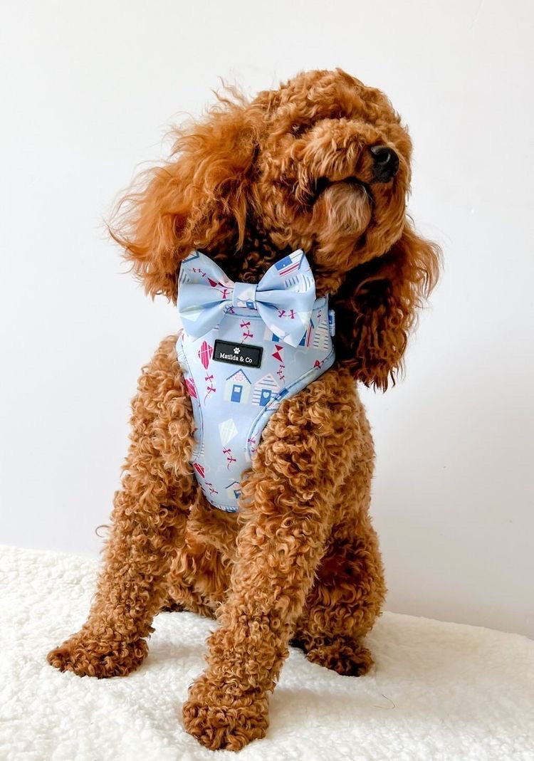 "Take me to the Beach" Bowtie image 1