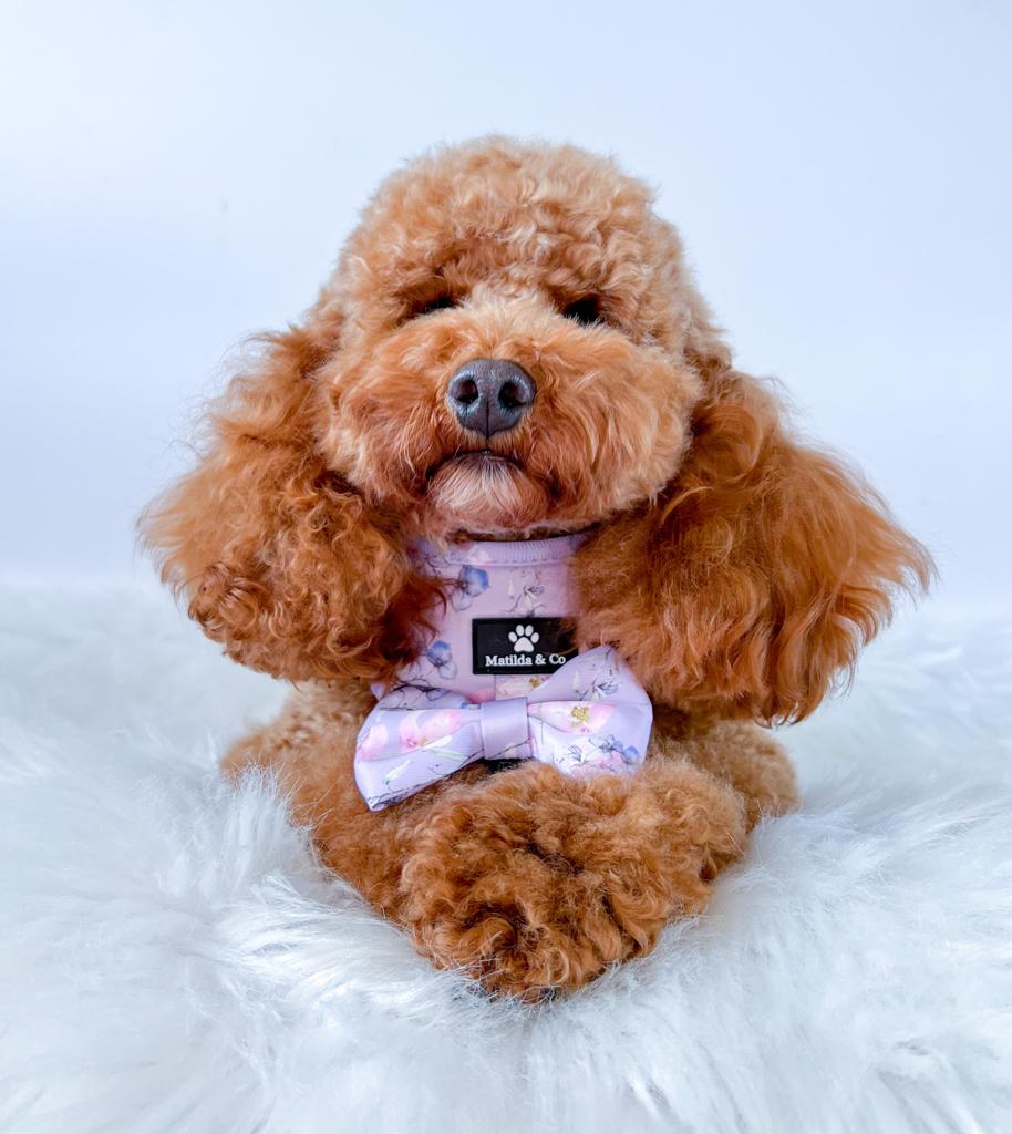 "Lilac Blossom" Bowtie image 3