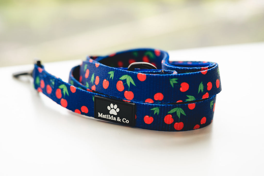 "I love you cherry much" Dog Lead image 0