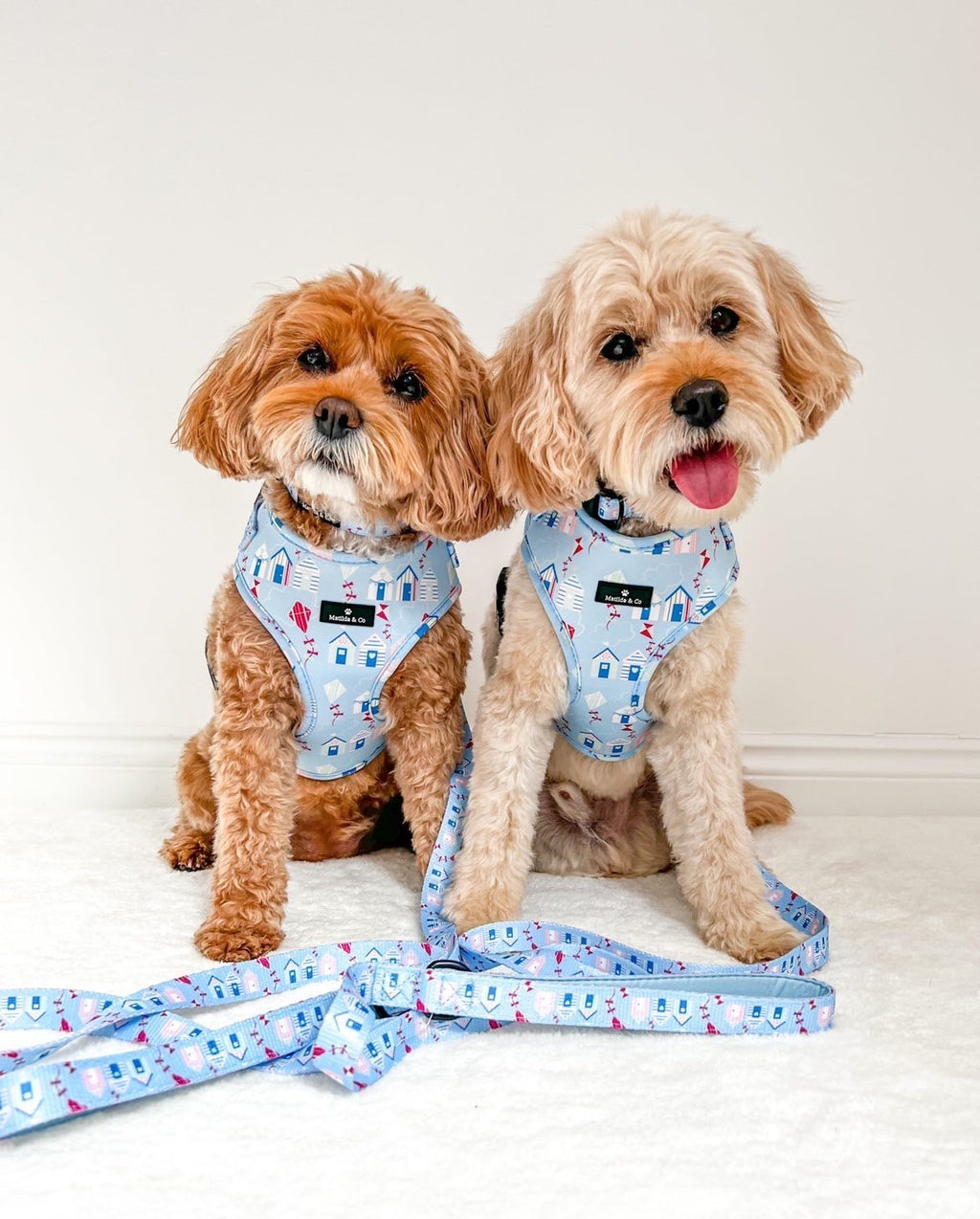 "Take me to the Beach" Adjustable Harness image 4