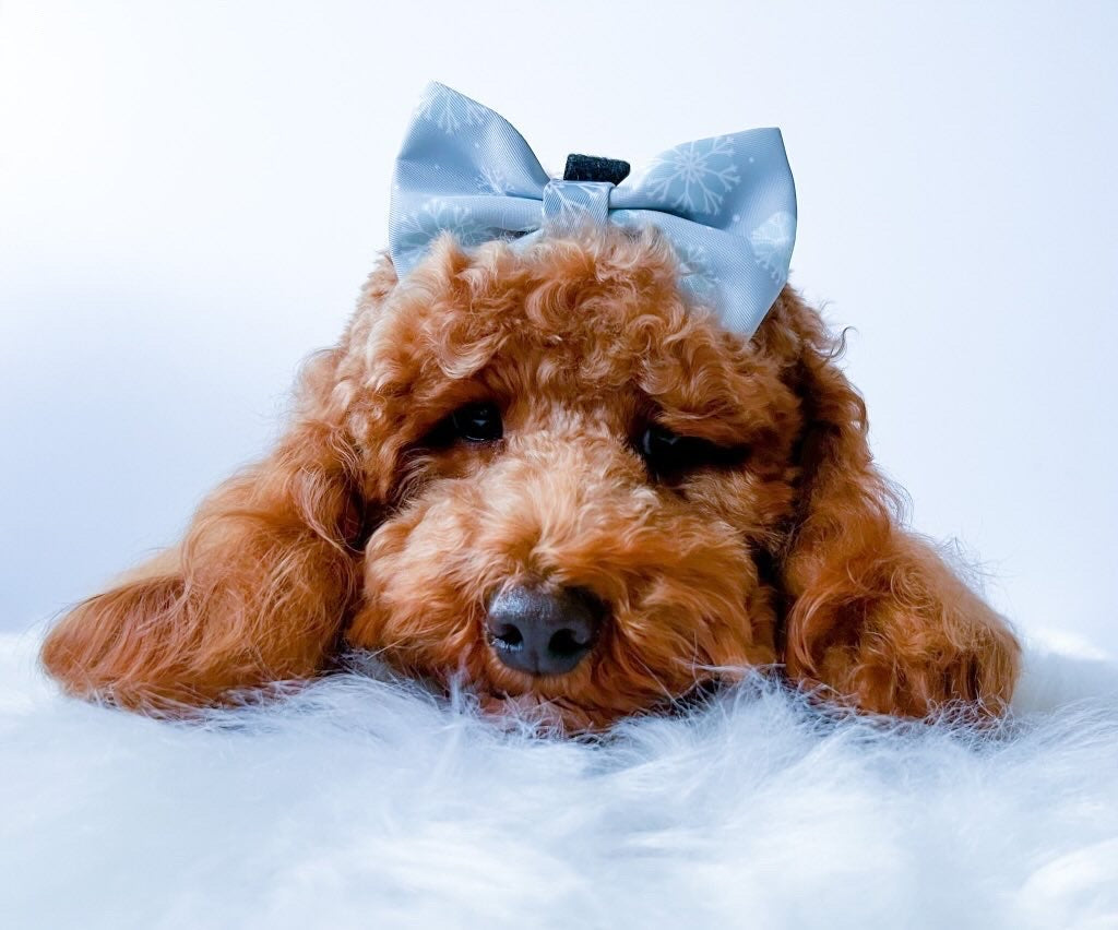 "Snow Pawtrol" Bowtie image 1