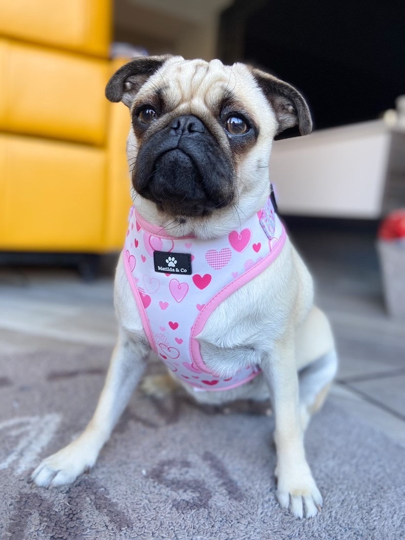 "My heart belongs to you" Adjustable Harness image 1