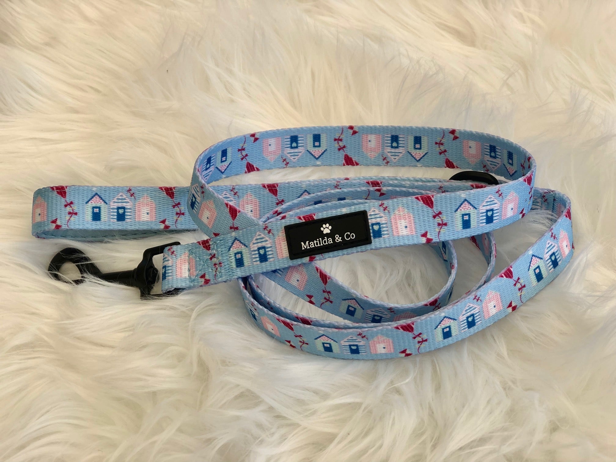 "Take me to the Beach" Dog Lead image 0