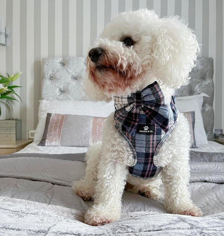 Highland Skye Adjustable Harness image 10